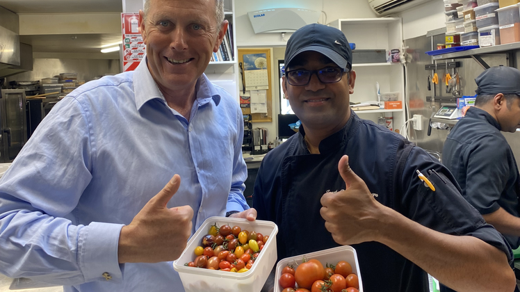 Tomatoes Michael Patterson and Jagath